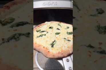 White Cheese Pizza with Pesto in Ooni Koda 16
