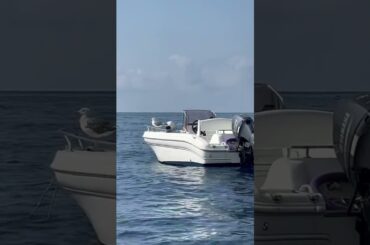 Toscany, Elba #italia