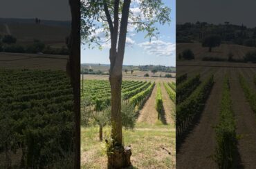 Tuscan Hills Travel: Exploring a Winery and Vineyard