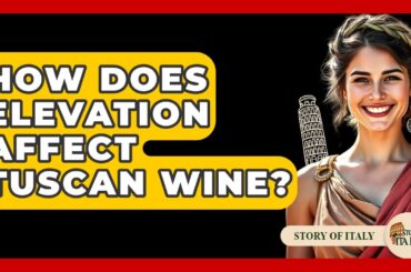 How Does Elevation Affect Tuscan Wine? - Story Of Italy