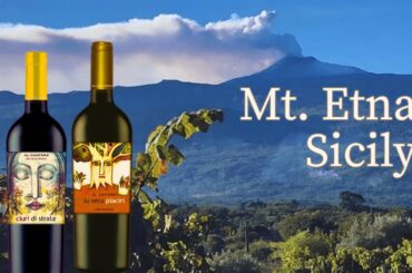 A Pinot Noir from Italy Forged by Lava and Ash