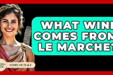 What Wine Comes From Le Marche? - Story Of Italy