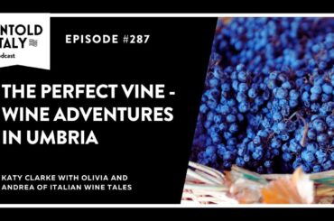 The Perfect Vine - Wine Adventures in Umbria | Untold Italy travel podcast Ep 287
