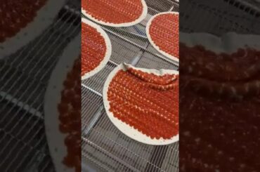 Pizza sauce applicator perfectly applies tomato sauce [FoodJet]