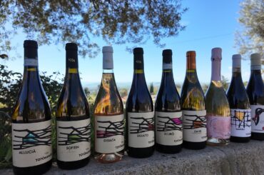 Navarra Winery | Sicily