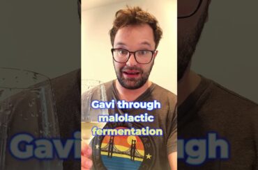 Gavi (Cortese) - Lemony Fresh, Crisp, but a bit too simple? What do you think?