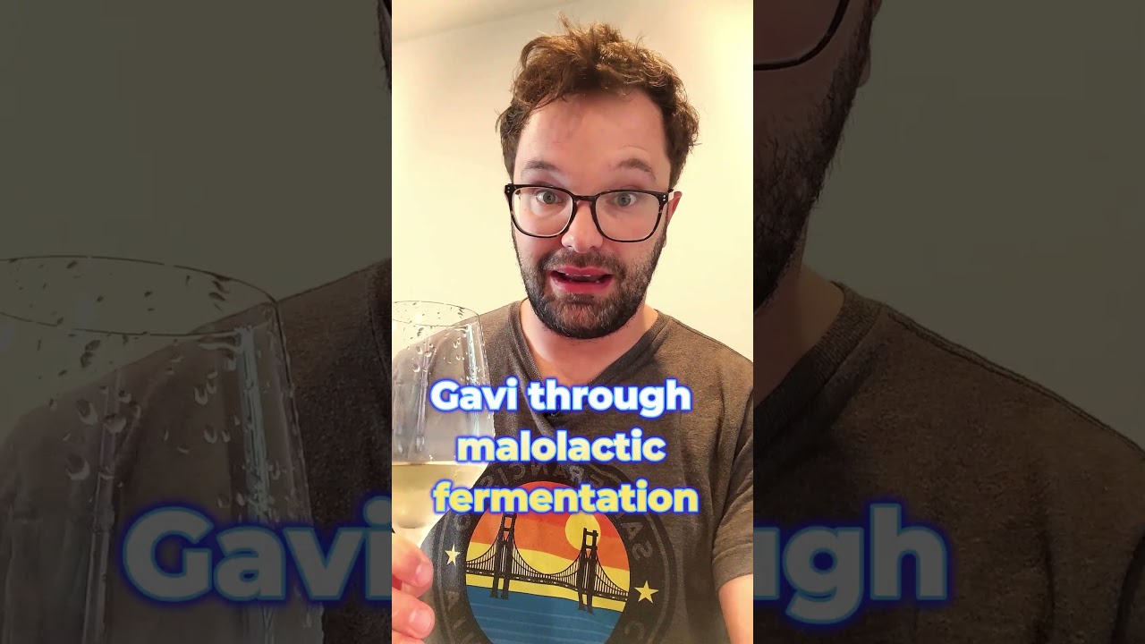 Gavi (Cortese) – Lemony Fresh, Crisp, but a bit too simple? What do you think? Gavi (Cortese) - Lemony Fresh, Crisp, but a bit too simple? What do you think?