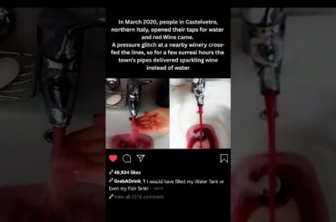 What Happens When Italian Tap Water Turns into WINE ?