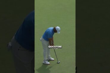 Quando una mosca ti cambia la vita!