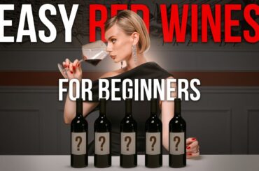 Top 5 Red wines every beginner MUST try!