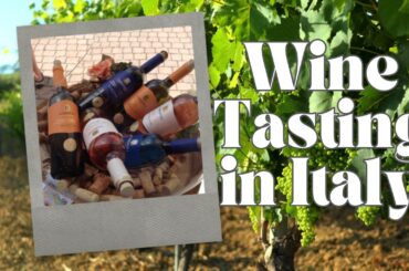 How to Book a Wine Tasting in Italy: And What to Expect