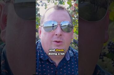 What Does Appassimento Mean in Wine?  #wine #northcarolina #italy