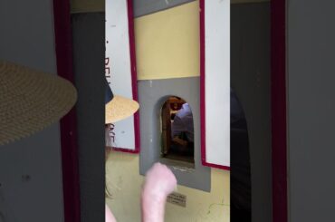 Florence Italy Wine Windows #florenceitaly