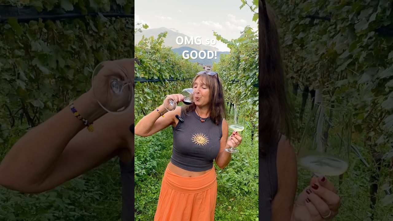 LIVE Wine Tasting in Italy! Day 5 of my Great Big Train Adventure in the vineyards by Lake Garda LIVE Wine Tasting in Italy! Day 5 of my Great Big Train Adventure in the vineyards by Lake Garda