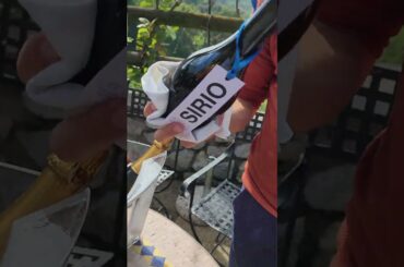 Moscato Di Scanzo Italy an Introduction Reel