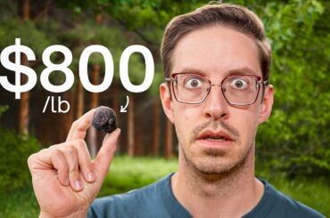 Try Guys Hunt The World's Rarest Food