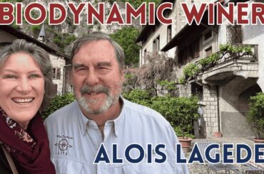 Alois Lageder Winery Tour: South Tyrol's Biodynamic Wine Pioneer (Alto Adige, Italy)