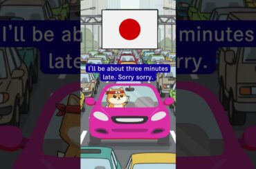 Traffic Reactions: 10 Countries, 10 Ways (Italy beeps, Japan apologizes)