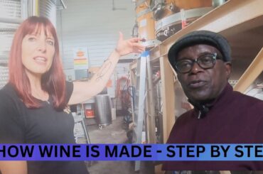 Discover the Secret Behind These Vineyards!