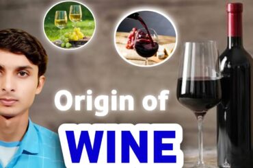 The Origin of Wine And Manufacturing | Crome Rabal
