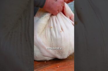 Savory Tripe Delicacies Around the World