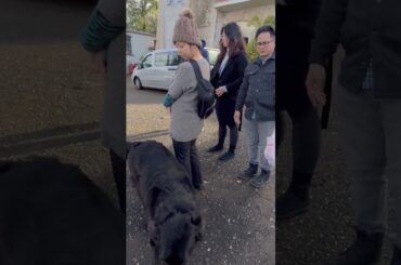 FRASCATI WINE TOUR #frascati #winetour #italy #tjinap