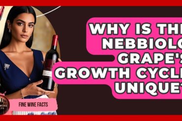 Why Is The Nebbiolo Grape's Growth Cycle Unique? - Fine Wine Facts
