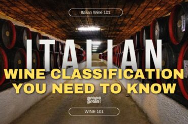 Understanding Italian Wine Classification