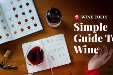 Don't Be Intimidated by Wine: A Beginner's Crash Course