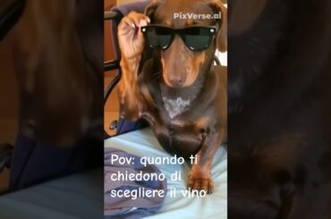 vino per cani | wine for dogs #funnydogs