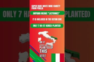 How to Pronounce Impigno #howtopronounce #wine #shorts #italy