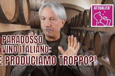IL PARADOSSO DEL VINO ITALIANO: NE PRODUCIAMO TROPPO?!