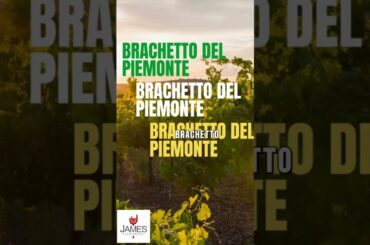 How to Pronounce Brachetto del Piemonte #howtopronounce #wine #italy #brachetto #shorts