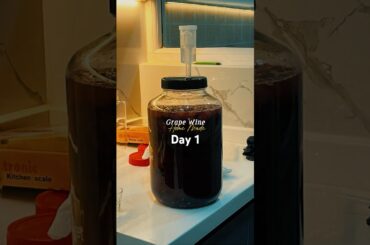 Day 1 of Making Grape Wine at Home
