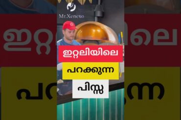 Italian flying pizza #mrxenexo