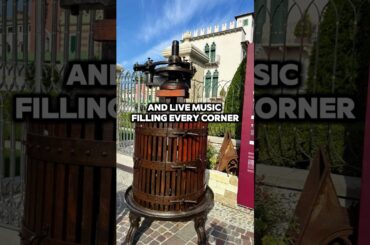 Bardolino Grape Festival 2024 | Lake Garda's BEST Wine Festival in October