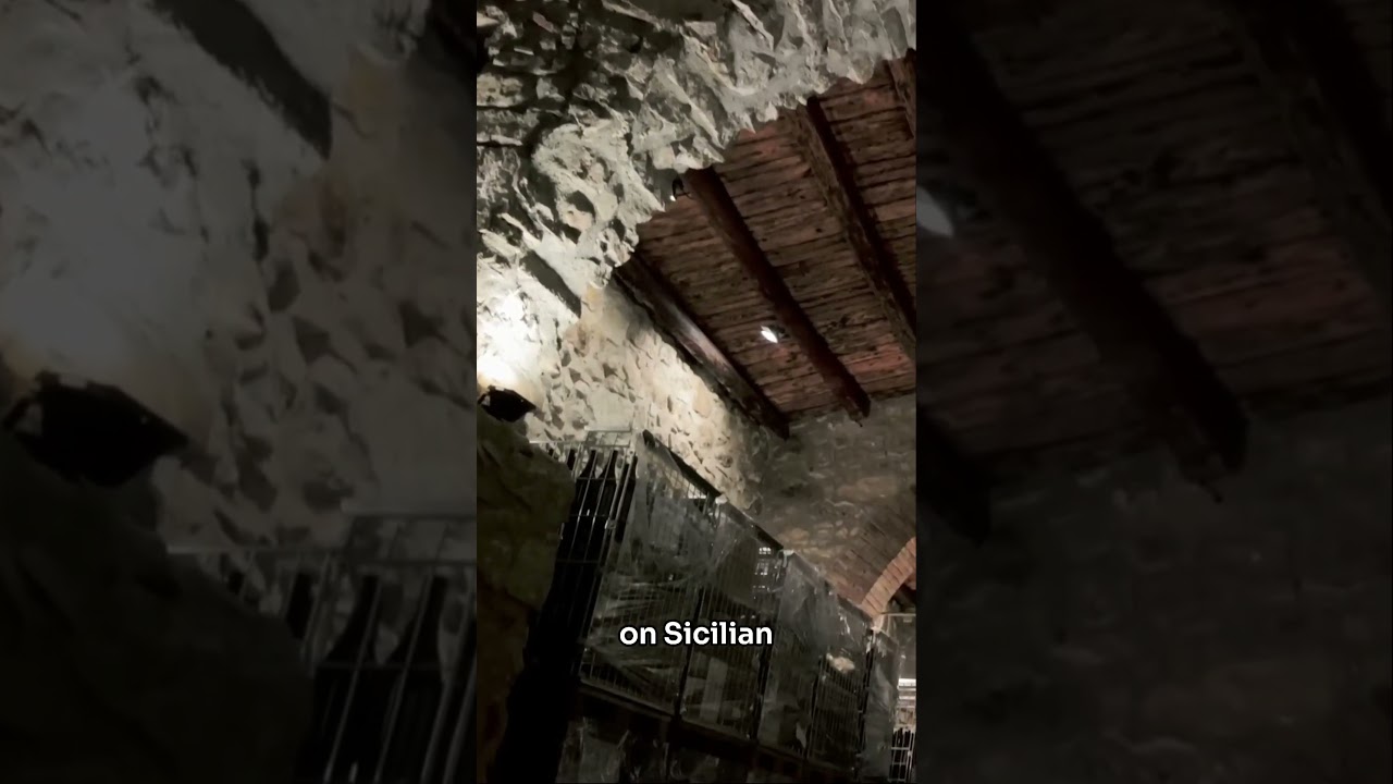 Ancient Wine Secrets and Italian Life Philosophies #italy #travel #summer #winemaking #vineyard Ancient Wine Secrets and Italian Life Philosophies #italy #travel #summer #winemaking #vineyard