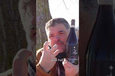 Per farla breve : La Gironda 2019 Ago Nizza Riserva (Italy)