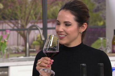 Vintage Wine Estates Wine Lovers Sampler 12 Bottle Wine Set on QVC