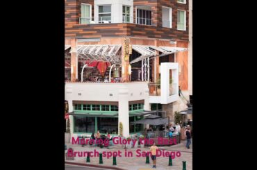 Morning Glory San Diego #thebestbrunch#restaurant#littleitaly