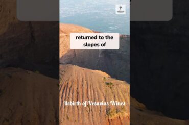 The Wine That Survived Pompeii #worthitwines #pompeii #winestories #italian #volcanoes