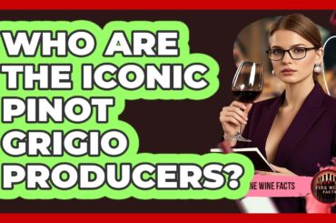 Who Are The Iconic Pinot Grigio Producers? - Fine Wine Facts