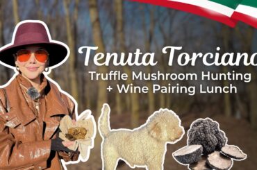 Truffle Hunting + Wine Pairing Lunch at Tenuta Torciano | Guided Tour EduVLOG | Tuscany