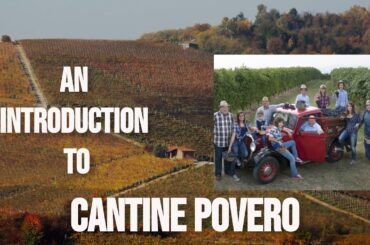 Wine Interview: Lucrezia Povero of Cantine Povero | 2022 Cantine Povero Langhe Nebbiolo Review