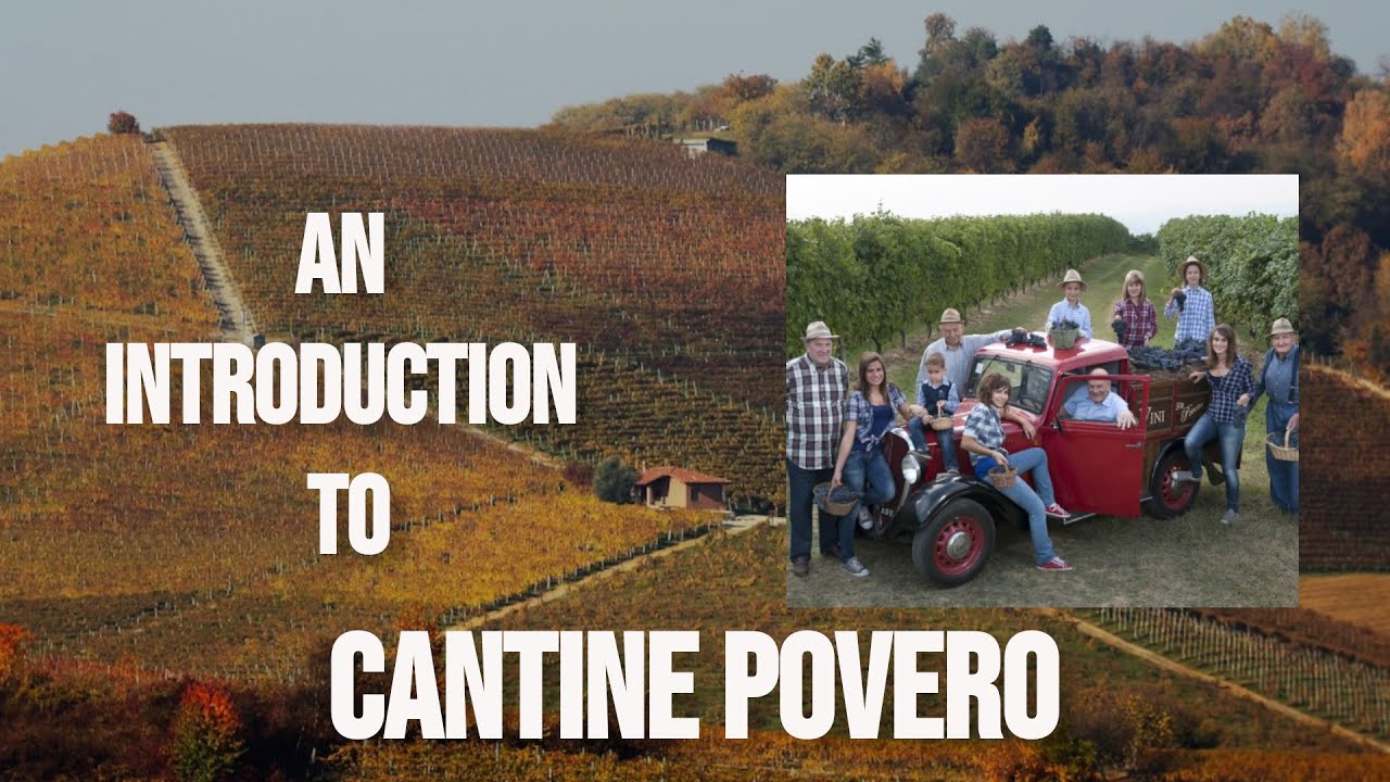 Wine Interview: Lucrezia Povero of Cantine Povero | 2022 Cantine Povero Langhe Nebbiolo Review Wine Interview: Lucrezia Povero of Cantine Povero | 2022 Cantine Povero Langhe Nebbiolo Review