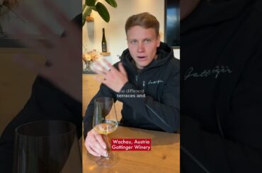 Loibenberg Riesling: A Taste of Wachau's Terroir