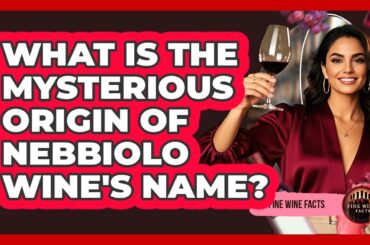 What Is The Mysterious Origin Of Nebbiolo Wine's Name? - Fine Wine Facts