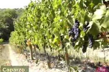 Two Tuscans l Wine Spectator