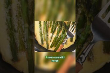 Lost Recipes  Discover Forgotten Italian Dishes Before They Disappear!