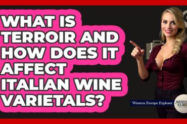 What Is Terroir And How Does It Affect Italian Wine Varietals? - Western Europe Explorer
